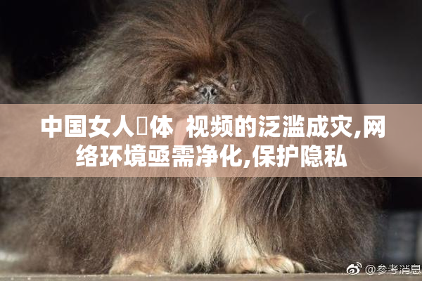 中国女人祼体  视频的泛滥成灾,网络环境亟需净化,保护隐私