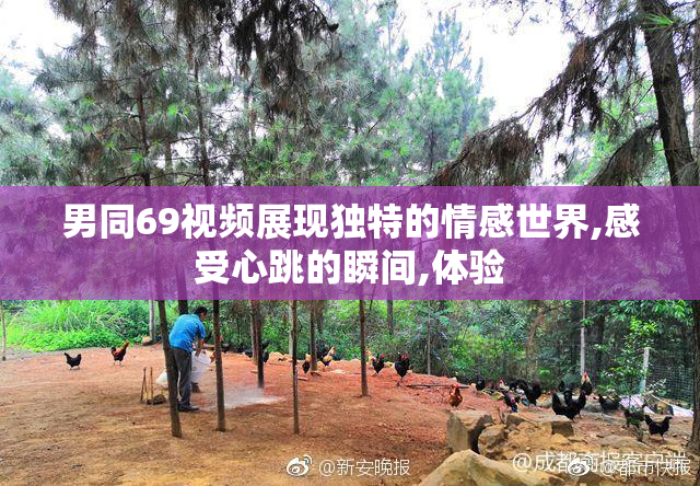 男同69视频展现独特的情感世界,感受心跳的瞬间,体验