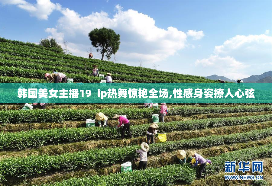 韩国美女主播19  ip热舞惊艳全场,性感身姿撩人心弦