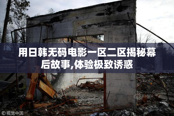 用日韩无码电影一区二区揭秘幕后故事,体验极致诱惑