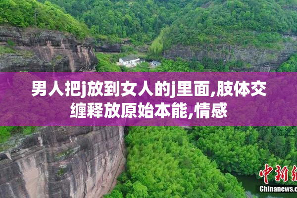 男人把j放到女人的j里面,肢体交缠释放原始本能,情感