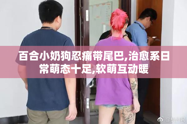 百合小奶狗忍痛带尾巴,治愈系日常萌态十足,软萌互动暖