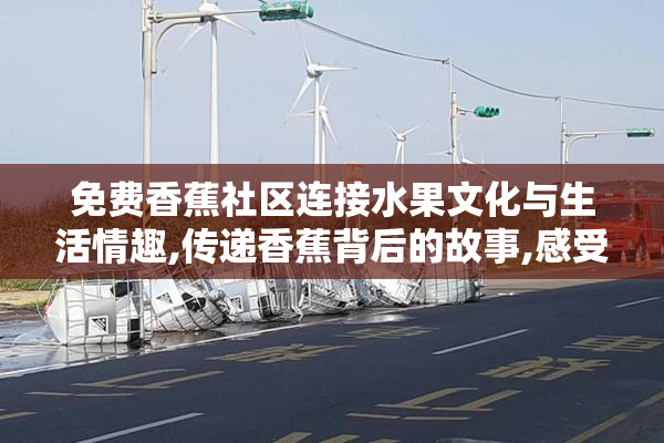 免费香蕉社区连接水果文化与生活情趣,传递香蕉背后的故事,感受