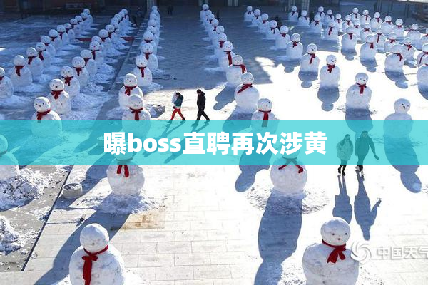 曝boss直聘再次涉黄