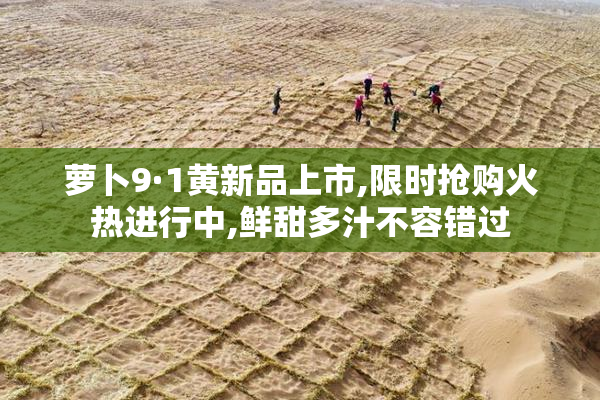 萝卜9·1黄新品上市,限时抢购火热进行中,鲜甜多汁不容错过