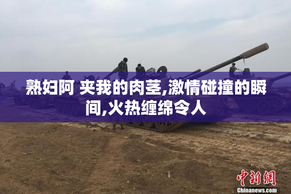 熟妇阿 夹我的肉茎,激情碰撞的瞬间,火热缠绵令人