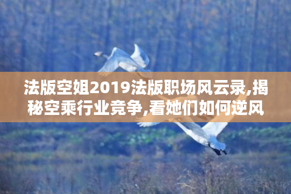 法版空姐2019法版职场风云录,揭秘空乘行业竞争,看她们如何逆风翱翔