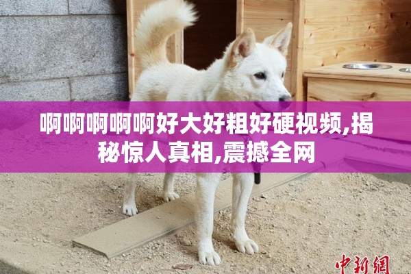啊啊啊啊啊好大好粗好硬视频,揭秘惊人真相,震撼全网