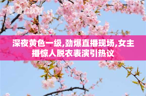 深夜黄色一级,劲爆直播现场,女主播惊人脱衣表演引热议