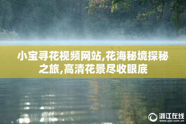 小宝寻花视频网站,花海秘境探秘之旅,高清花景尽收眼底