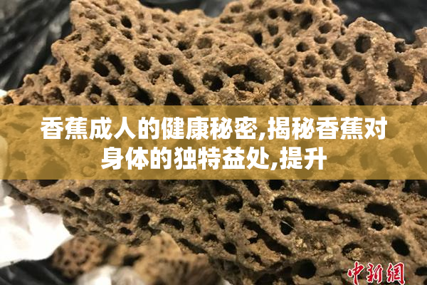 香蕉成人的健康秘密,揭秘香蕉对身体的独特益处,提升