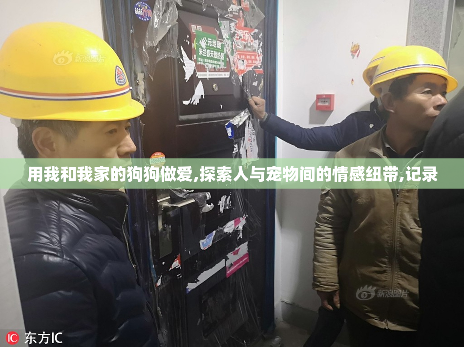 用我和我家的狗狗做爱,探索人与宠物间的情感纽带,记录
