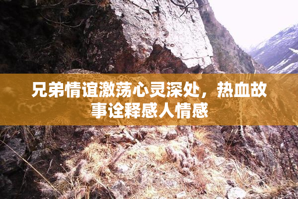 兄弟情谊激荡心灵深处，热血故事诠释感人情感