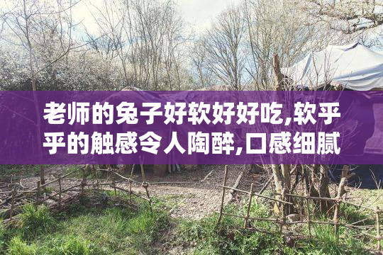 老师的兔子好软好好吃,软乎乎的触感令人陶醉,口感细腻