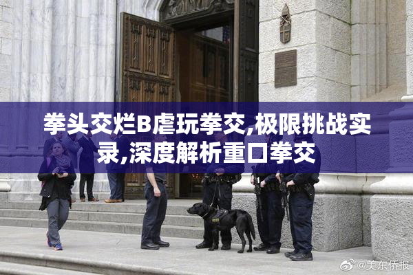 拳头交烂B虐玩拳交,极限挑战实录,深度解析重口拳交