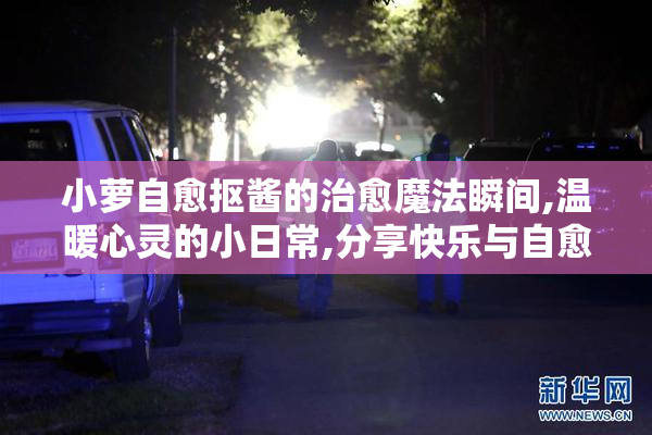 小萝自愈抠酱的治愈魔法瞬间,温暖心灵的小日常,分享快乐与自愈的