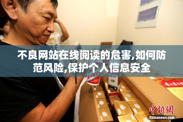 不良网站在线阅读的危害,如何防范风险,保护个人信息安全