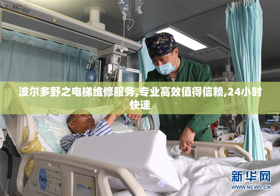 波尔多野之电梯维修服务,专业高效值得信赖,24小时快速