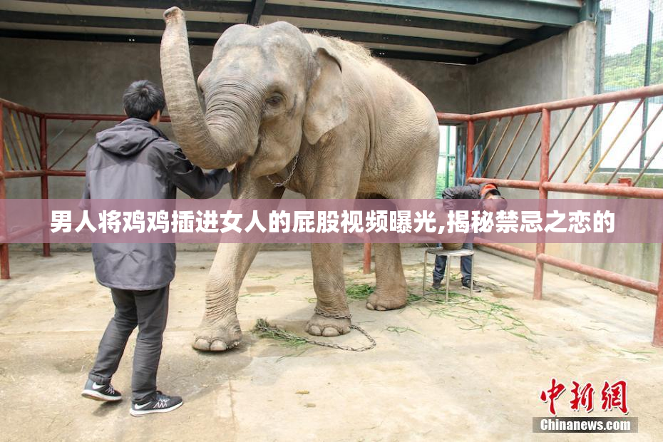 男人将鸡鸡插进女人的屁股视频曝光,揭秘禁忌之恋的