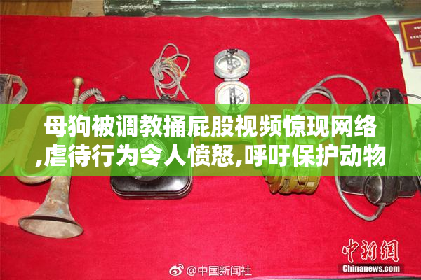 母狗被调教捅屁股视频惊现网络,虐待行为令人愤怒,呼吁保护动物