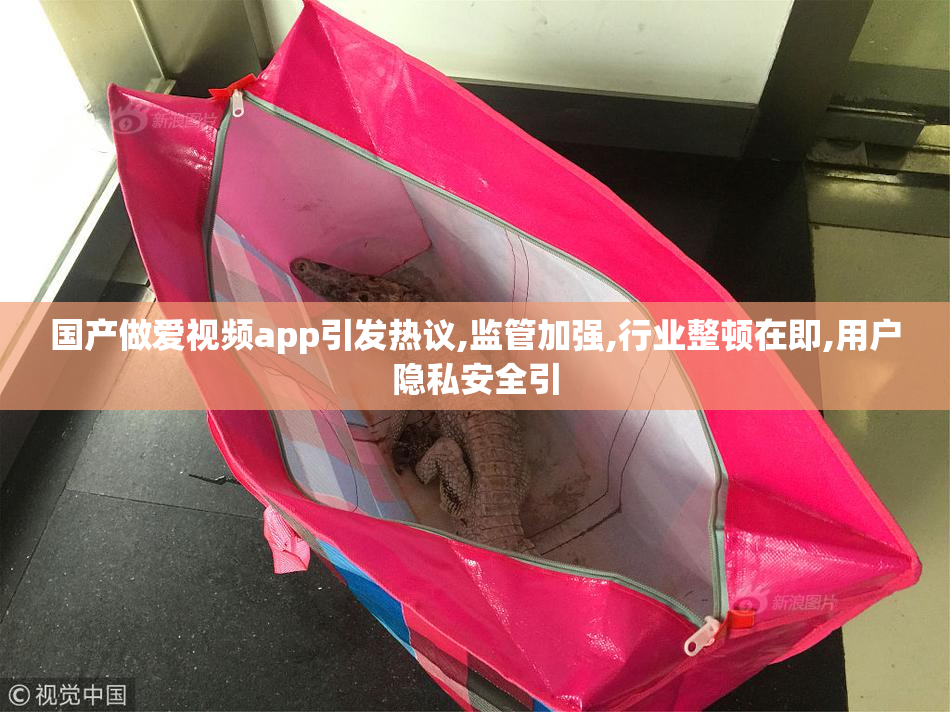 国产做爱视频app引发热议,监管加强,行业整顿在即,用户隐私安全引