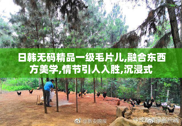 日韩无码精品一级毛片儿,融合东西方美学,情节引人入胜,沉浸式