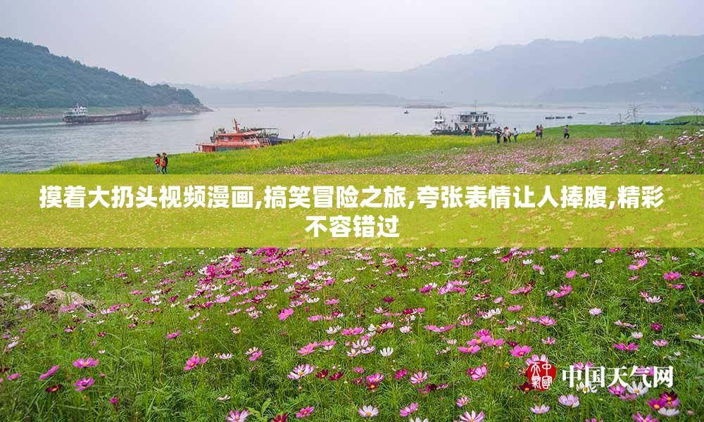 摸着大扔头视频漫画,搞笑冒险之旅,夸张表情让人捧腹,精彩不容错过