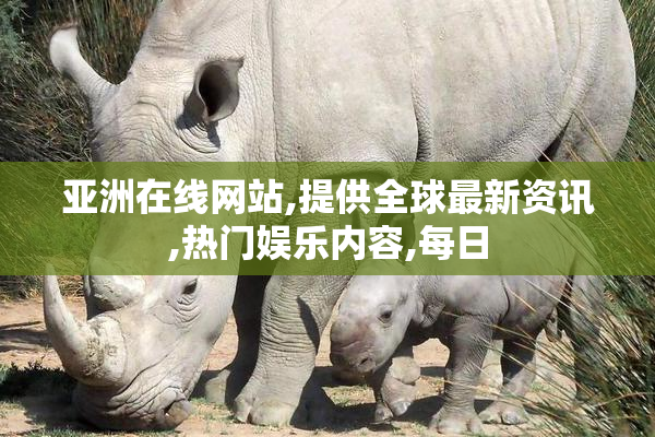 亚洲在线网站,提供全球最新资讯,热门娱乐内容,每日