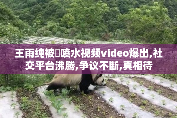 王雨纯被❌喷水视频video爆出,社交平台沸腾,争议不断,真相待