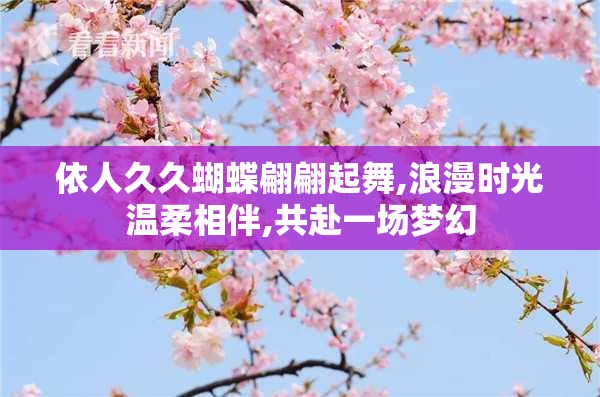 依人久久蝴蝶翩翩起舞,浪漫时光温柔相伴,共赴一场梦幻