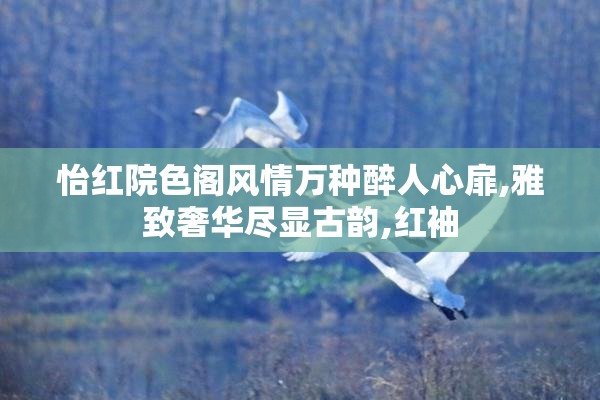怡红院色阁风情万种醉人心扉,雅致奢华尽显古韵,红袖