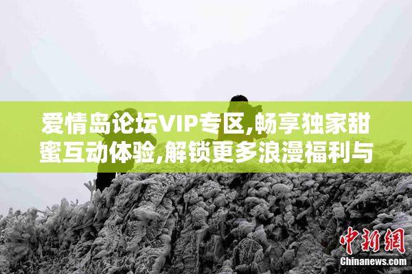 爱情岛论坛VIP专区,畅享独家甜蜜互动体验,解锁更多浪漫福利与特权