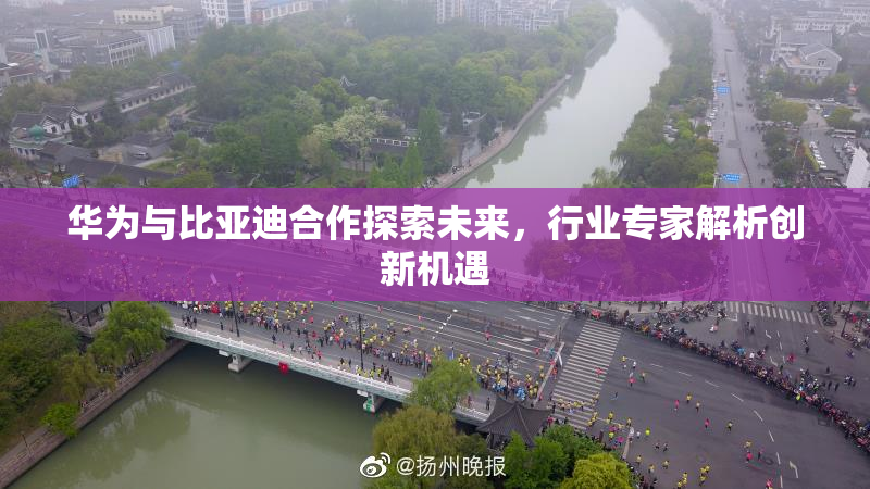华为与比亚迪合作探索未来，行业专家解析创新机遇