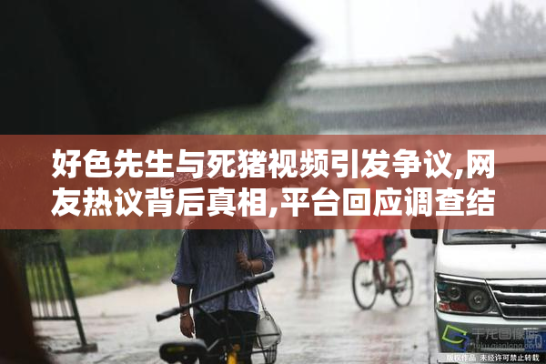 好色先生与死猪视频引发争议,网友热议背后真相,平台回应调查结果