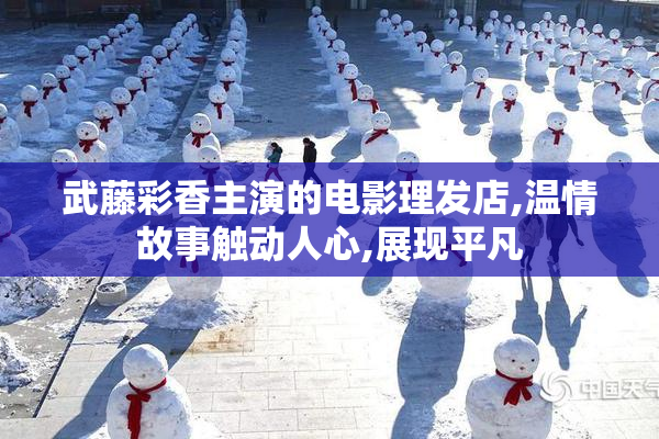 武藤彩香主演的电影理发店,温情故事触动人心,展现平凡