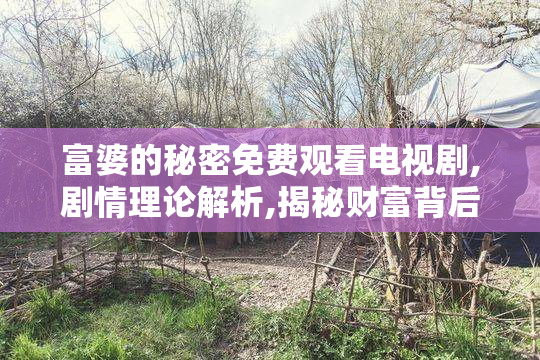 富婆的秘密免费观看电视剧,剧情理论解析,揭秘财富背后