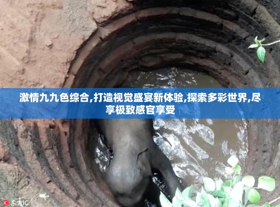 激情九九色综合,打造视觉盛宴新体验,探索多彩世界,尽享极致感官享受