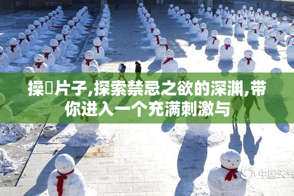 操屄片子,探索禁忌之欲的深渊,带你进入一个充满刺激与