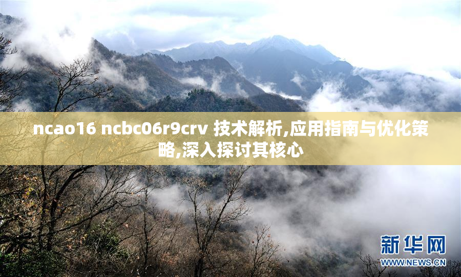 ncao16 ncbc06r9crv 技术解析,应用指南与优化策略,深入探讨其核心