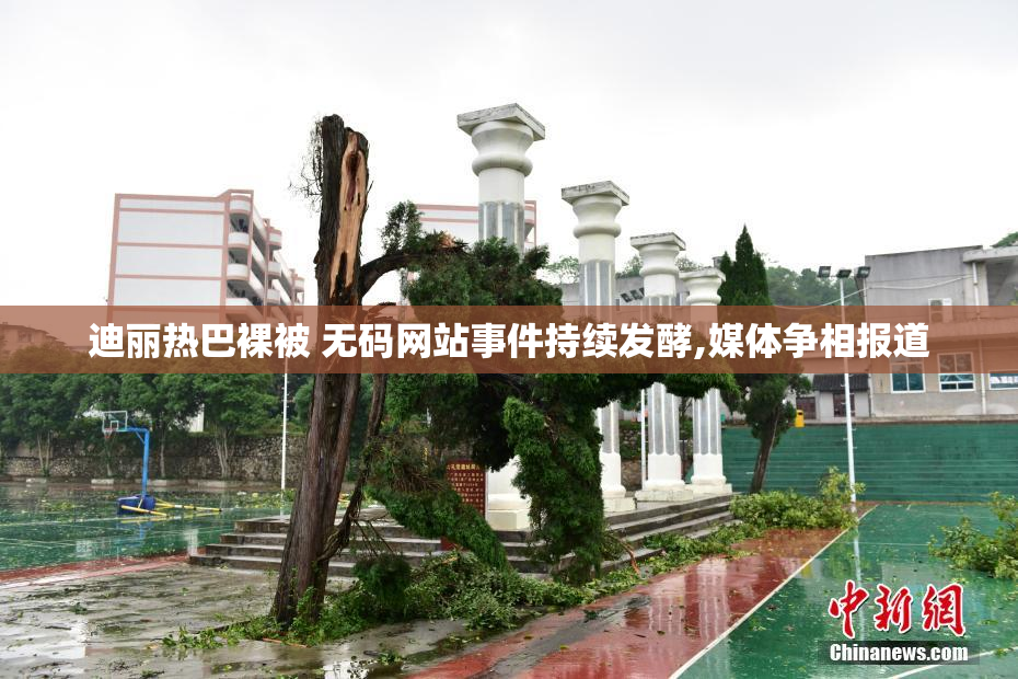 迪丽热巴裸被 无码网站事件持续发酵,媒体争相报道