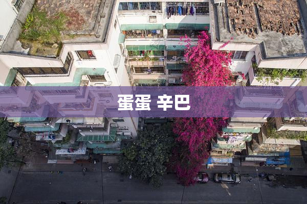 蛋蛋 辛巴