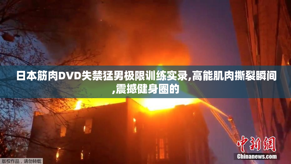 日本筋肉DVD失禁猛男极限训练实录,高能肌肉撕裂瞬间,震撼健身圈的