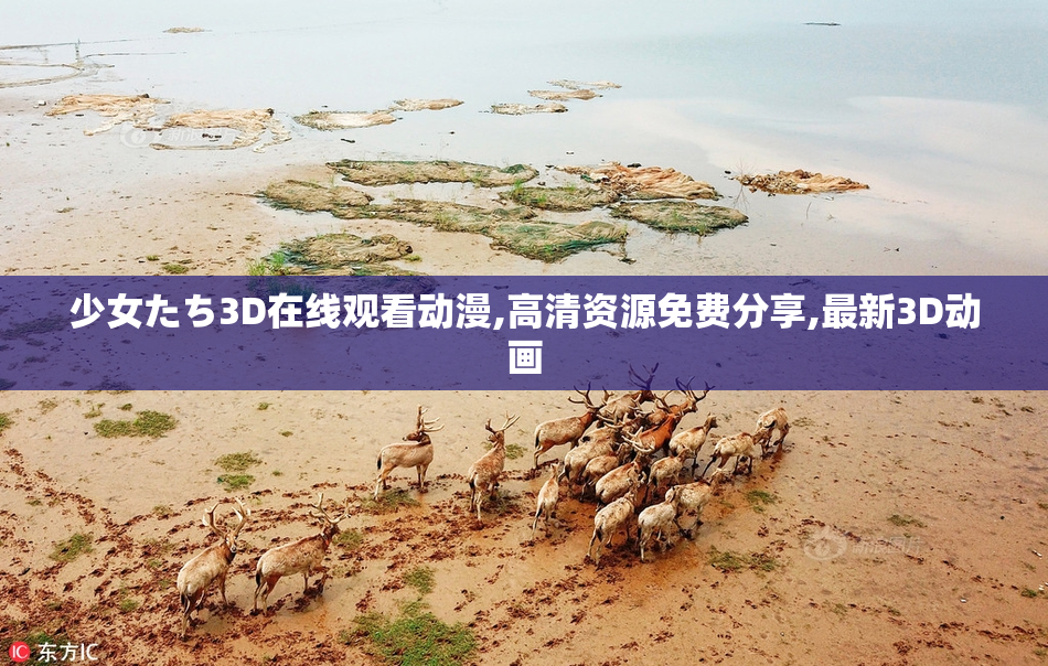 少女たち3D在线观看动漫,高清资源免费分享,最新3D动画
