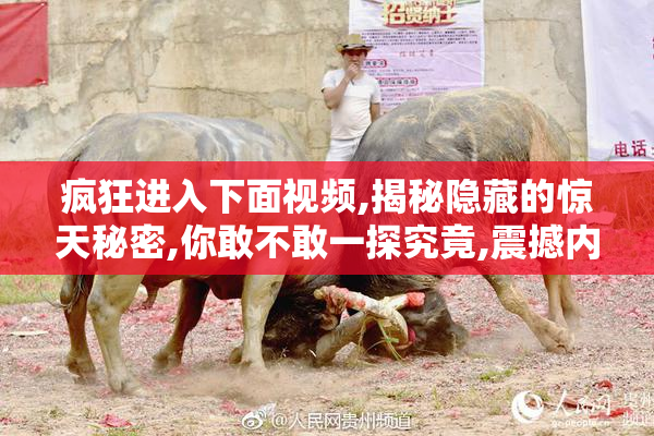 疯狂进入下面视频,揭秘隐藏的惊天秘密,你敢不敢一探究竟,震撼内容