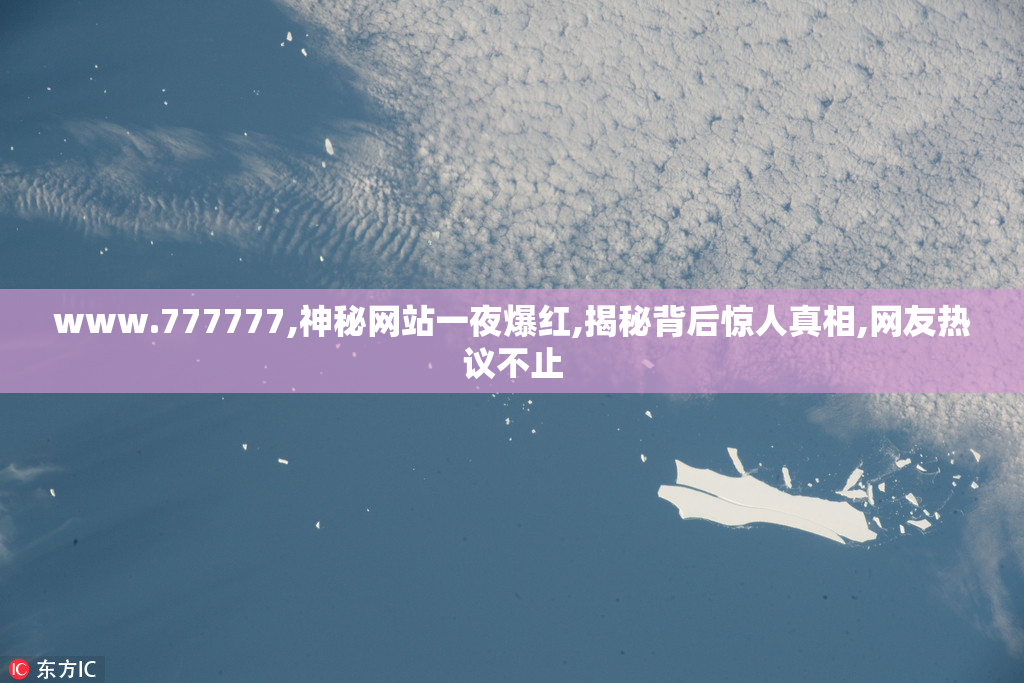www.777777,神秘网站一夜爆红,揭秘背后惊人真相,网友热议不止