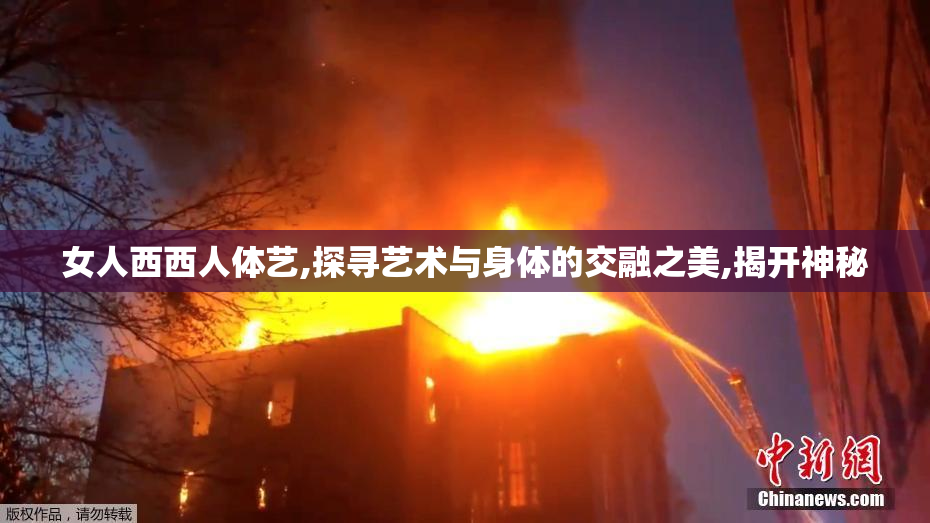 女人西西人体艺,探寻艺术与身体的交融之美,揭开神秘