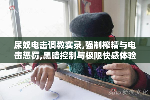 尿奴电击调教实录,强制榨精与电击惩罚,黑暗控制与极限快感体验