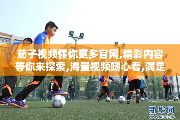 茄子视频懂你更多官网,精彩内容等你来探索,海量视频随心看,满足你