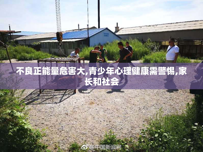 不良正能量危害大,青少年心理健康需警惕,家长和社会