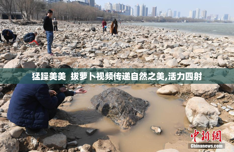 猛躁美美  拔萝卜视频传递自然之美,活力四射